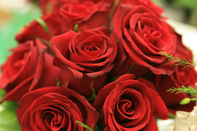 Wedding Flowers