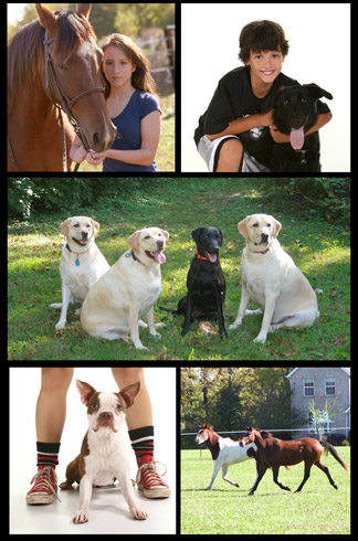 Belleville Pet Photography